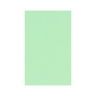 Loonzakje - Mint | 104 x 65 mm|Voorkant