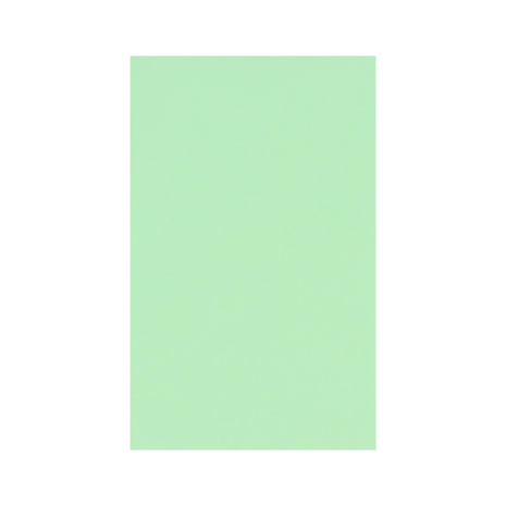 Loonzakje - Mint | 104 x 65 mm|Voorkant
