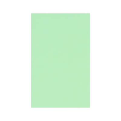 Loonzakje - Mint | 104 x 65 mm